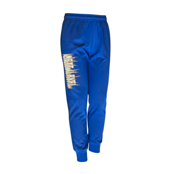 Kids blue fleece hoodie and trouser set with printed design